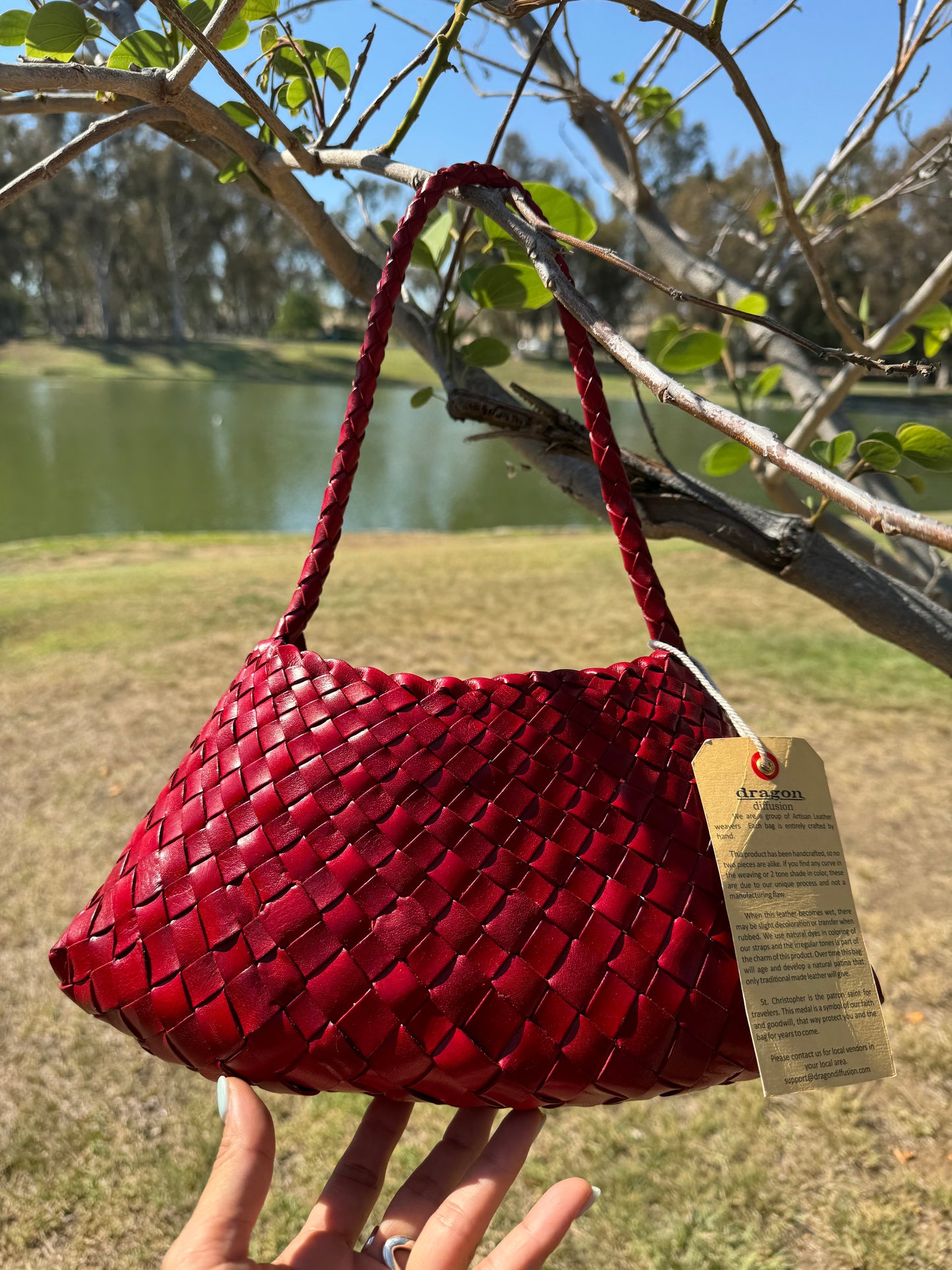 ROSANNA RED-Dragon Diffusion