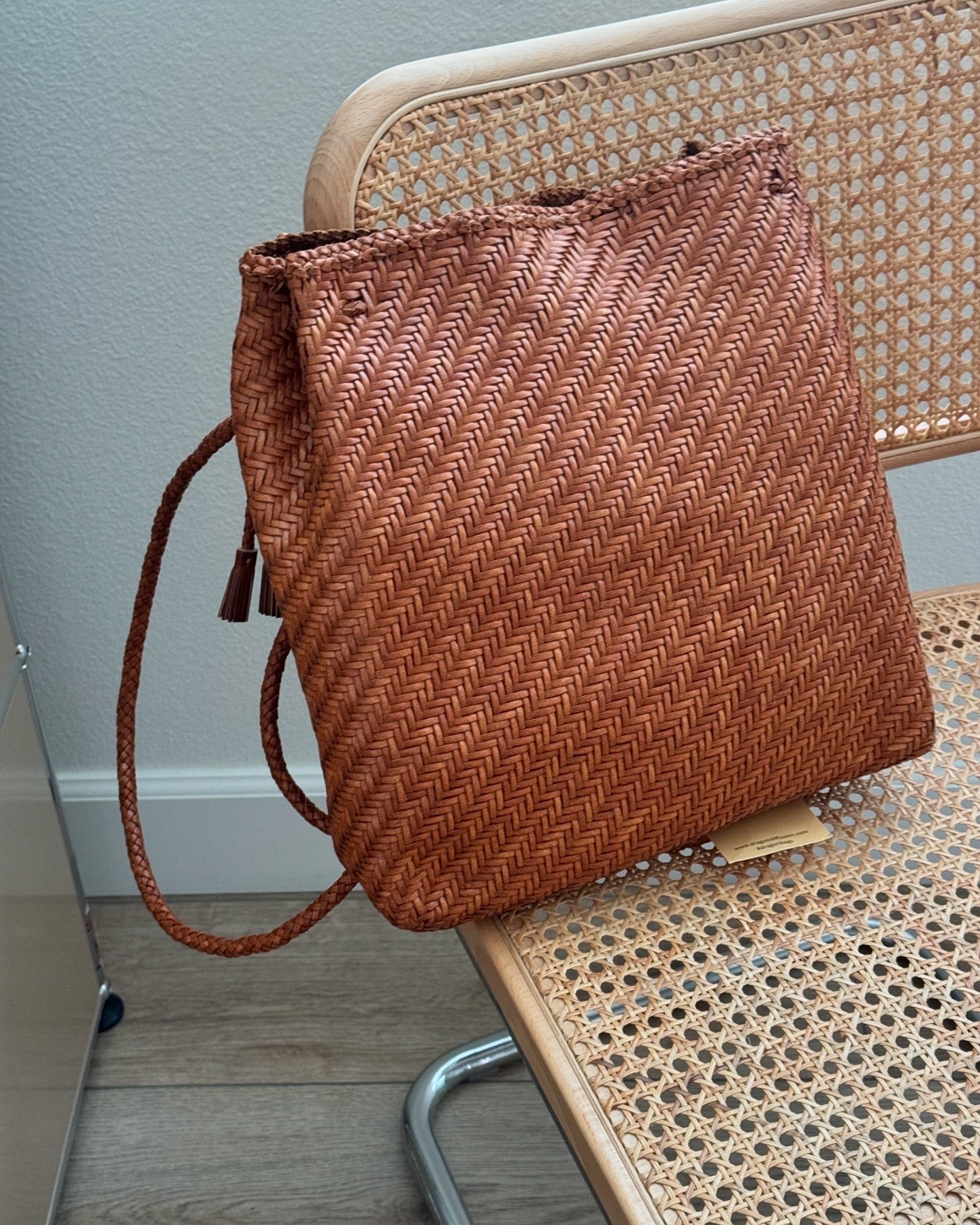 NEW Dragon Diffusion-BACKPACK