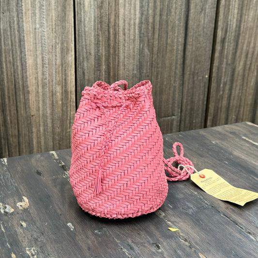 POM POM-Dragon Diffusion